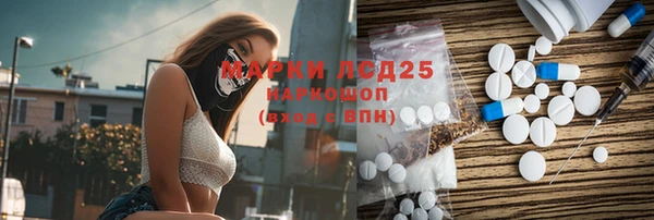 шишки Горнозаводск