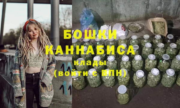 шишки Горнозаводск