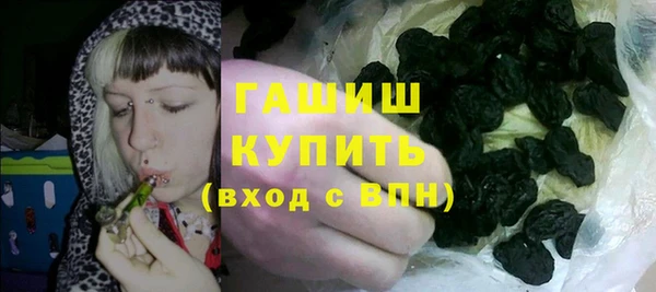шишки Горнозаводск