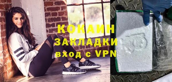 шишки Горнозаводск